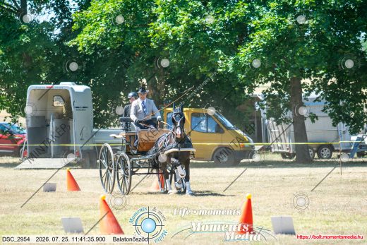 Mintakép 20260725-1137