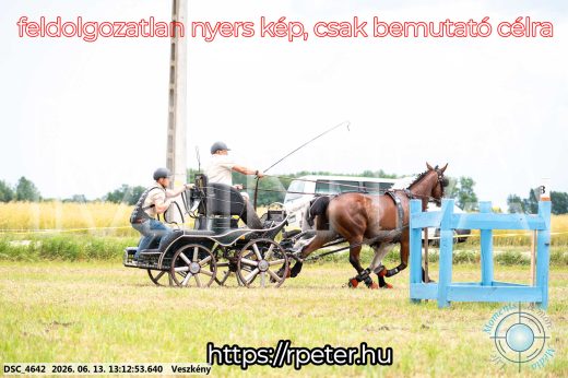 Mintakép 20260613-42