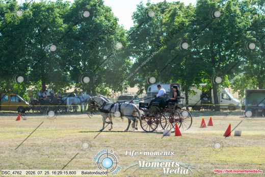 Mintakép 20260725-1212