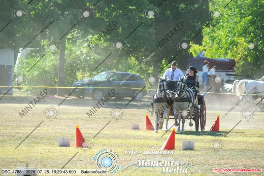 Mintakép 20260725-1218