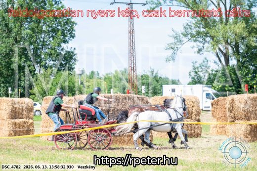 Mintakép 20260613-1228