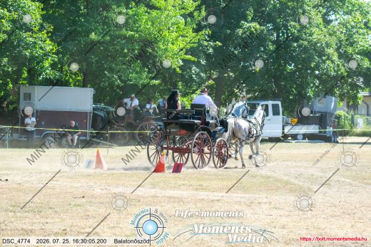 Mintakép 20260725-1222