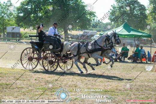 Mintakép 20260725-1231