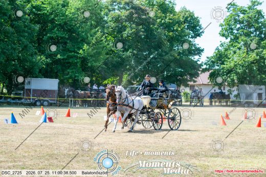 Mintakép 20260725-1237