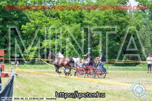 Mintakép 20260613-1230
