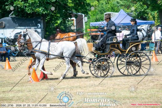 Mintakép 20260725-1240