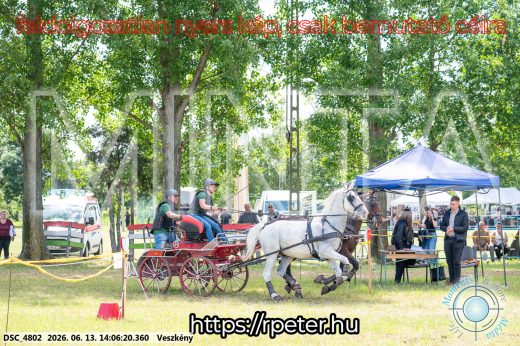 Mintakép 20260613-1234