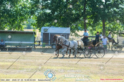 Mintakép 20260725-1287