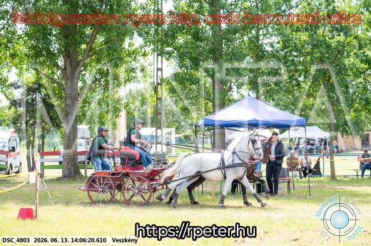 Mintakép 20260613-1235