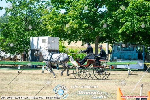 20260725-114529-DSC_2979.jpg