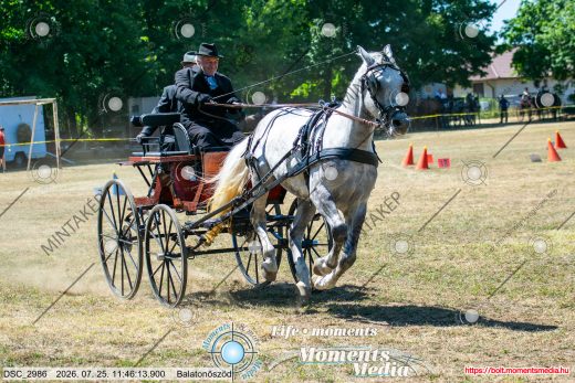 20260725-114613-DSC_2986.jpg