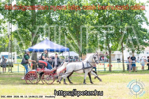 Mintakép 20260613-1236