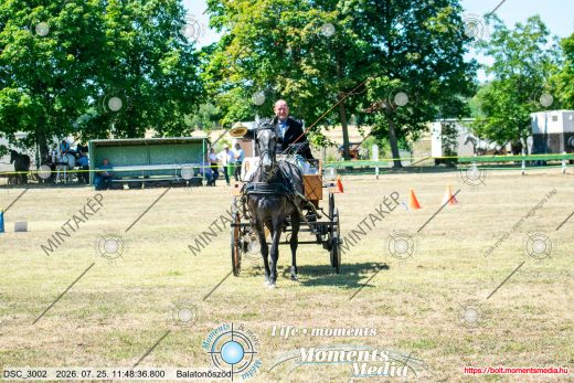 20260725-114836-DSC_3002.jpg