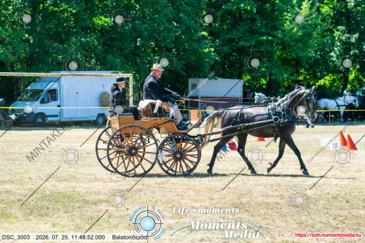 20260725-114852-DSC_3003.jpg