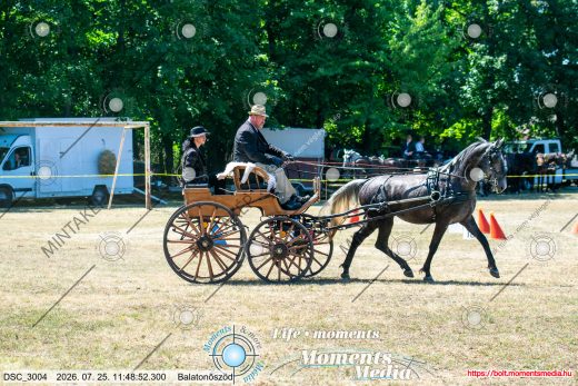 20260725-114852-DSC_3004.jpg
