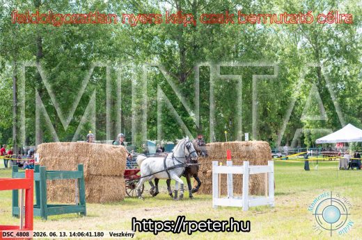 Mintakép 20260613-1239