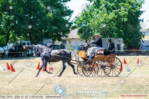 Mintakép 20260725-1332