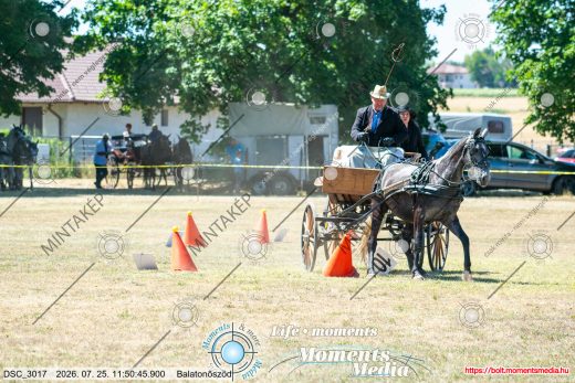 Mintakép 20260725-1334