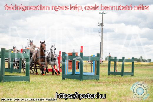 Mintakép 20260613-44