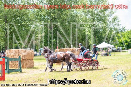Mintakép 20260613-1242