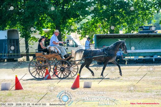 Mintakép 20260725-1374