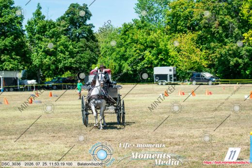 20260725-115319-DSC_3036.jpg