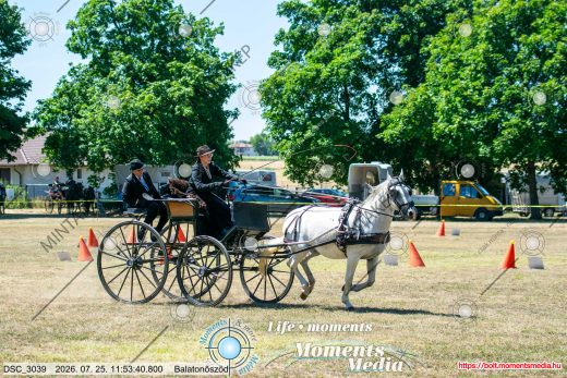 20260725-115340-DSC_3039.jpg