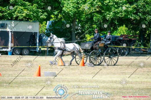 Mintakép 20260725-1384