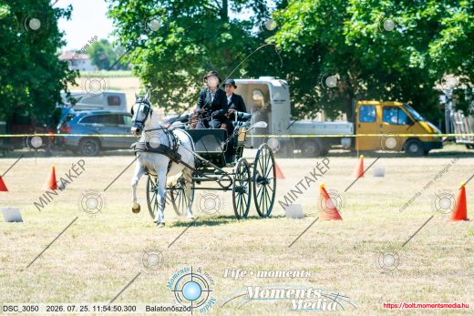 Mintakép 20260725-1386
