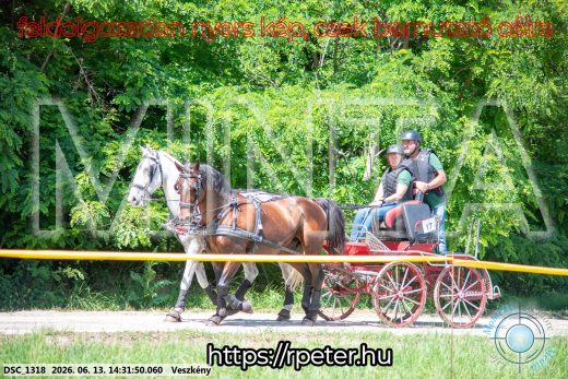 Mintakép 20260613-1246