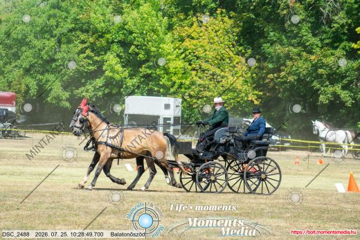20260725-102849-DSC_2488.jpg