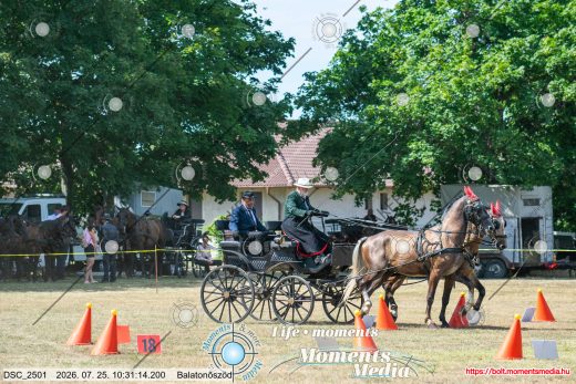 Mintakép 20260725-1440