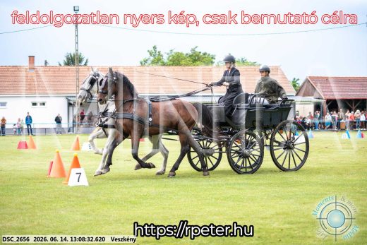 Mintakép 20260614-463