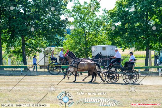 Mintakép 20260725-1463