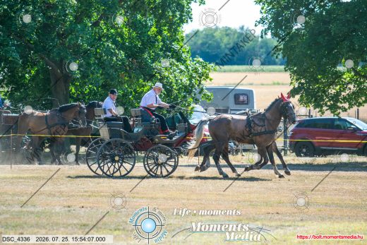 Mintakép 20260725-1469