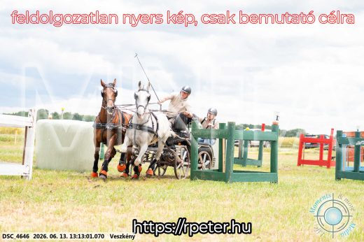 Mintakép 20260613-46