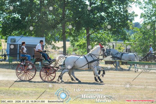 Mintakép 20260725-1545