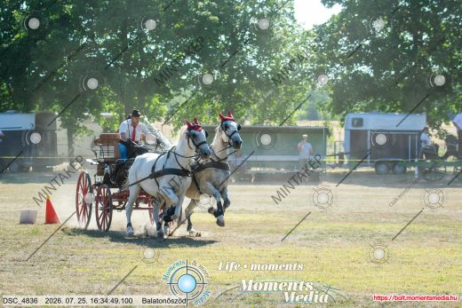 Mintakép 20260725-1548