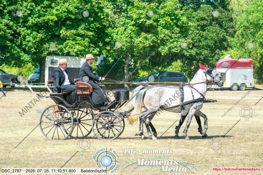 20260725-111051-DSC_2787.jpg