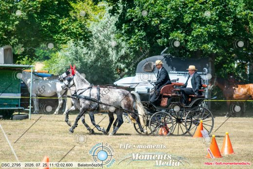 Mintakép 20260725-1557