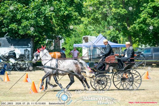 Mintakép 20260725-1560