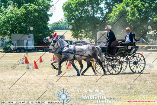 Mintakép 20260725-1581