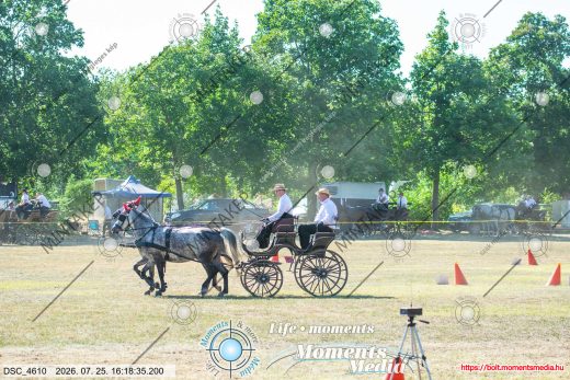 Mintakép 20260725-1588