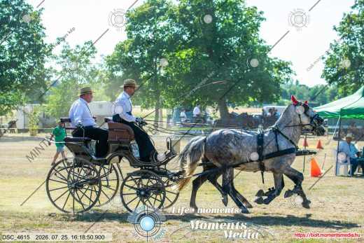 Mintakép 20260725-1590