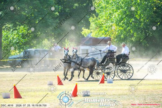 Mintakép 20260725-1591