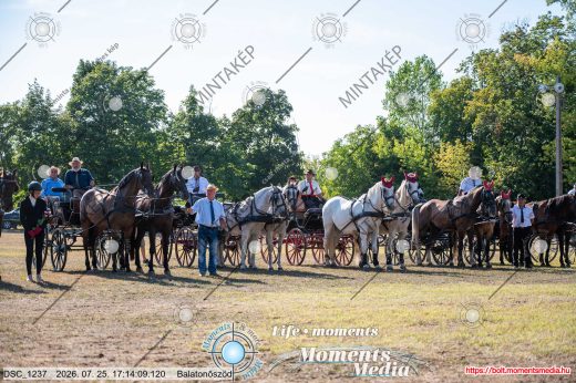 Mintakép 20260725-1609
