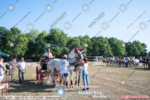 Mintakép 20260725-1611