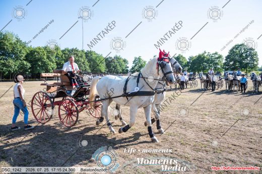 Mintakép 20260725-1612