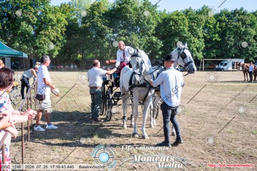 Mintakép 20260725-1615