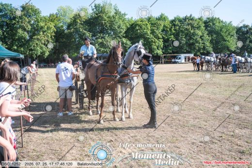 Mintakép 20260725-1618